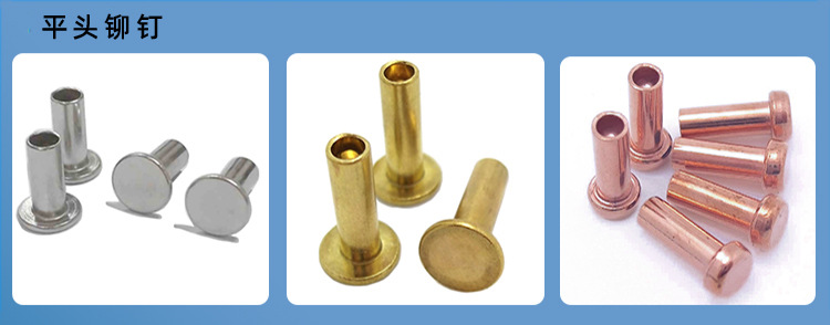 搜索:网上用户,旋铆机全自动铆钉机平垫片铁不锈钢铝合金黄铜紫铜子母钉台阶标牌铝合金实心沉头半空心铆钉厂张东良深圳市润博达五金制品有限公司